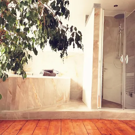 Violin Prázdninový dům *